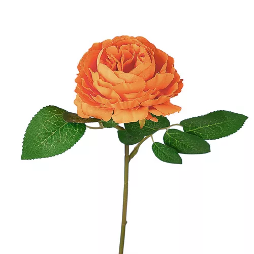 Ruža hodvábna stonka, výška 28 cm - Oranžový