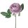 Ruža hodvábna stonka, výška 28 cm - Fialový
