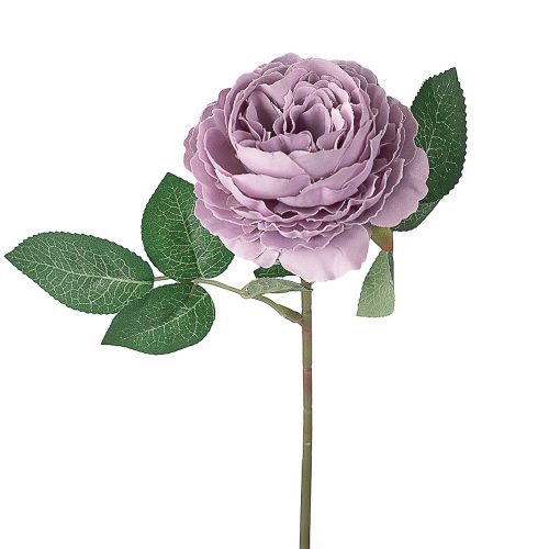 Ruža hodvábna stonka, výška 28 cm - Fialový