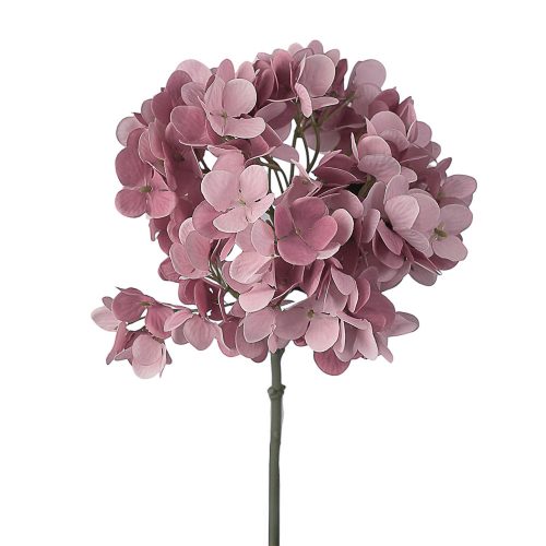 Hortenzia hodvábna stonka, výška 35 cm - Tmavoružový