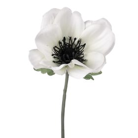 Veternica hodvábna stonka, výška 30 cm - Biely