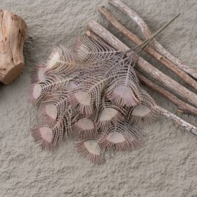 Pávie perie kytica, výška 37 cm - Hnedozelená