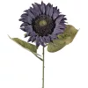 Slnečnica hodvábna stonka, výška 50 cm - Modrá