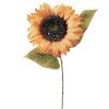 Slnečnica hodvábna stonka, výška 50 cm - Svetlooranžová