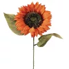 Slnečnica hodvábna stonka, výška 50 cm - Tmavooranžová