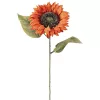 Slnečnica hodvábna stonka, výška 50 cm - Tmavooranžová