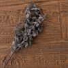Eukalyptus vetva, výška 44 cm – Tmavohnedá