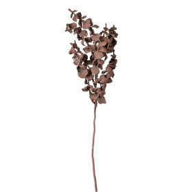 Eukalyptus vetva, výška 44 cm - Tmavohnedá