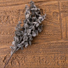 Eukalyptus vetva, výška 44 cm - Tmavohnedá