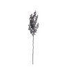 Eukalyptus vetva, výška 44 cm – Tmavohnedá