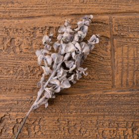 Eukalyptus vetva, výška 44 cm - Púdrovohnedá