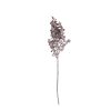 Eukalyptus vetva, výška 44 cm – Púdrovohnedá