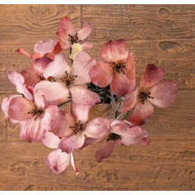 Magnólia kytica, výška 44 cm - Fialovo-broskyňová