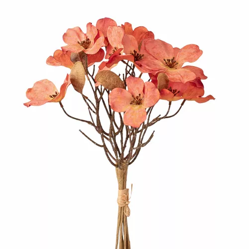 Magnólia kytica, výška 44 cm - Oranžová