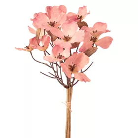 Magnólia kytica, výška 44 cm - Svetloružová