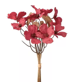 Magnólia kytica, výška 44 cm - Bordová