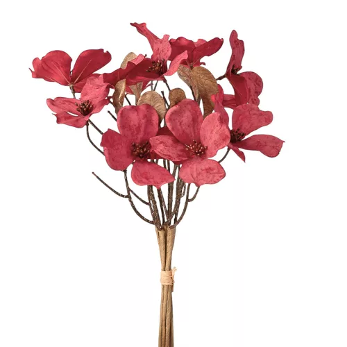 Magnólia kytica, výška 44 cm - Bordová