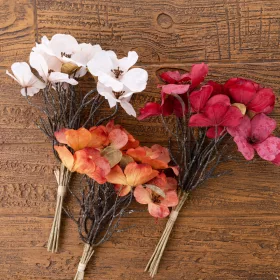 Magnólia kytica, výška 44 cm - Bordová