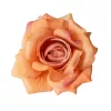 Hodvábna hlava ruže, 8cm - Šampanská