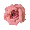 Hodvábna hlava ruže, 8cm - Tmavoružová