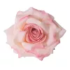 Hodvábna hlava ruže, 8cm - Svetloružová