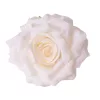 Hodvábna hlava ruže, 8cm - Ecru