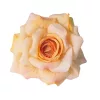 Hodvábna hlava ruže, 8cm - Svetlooranžová