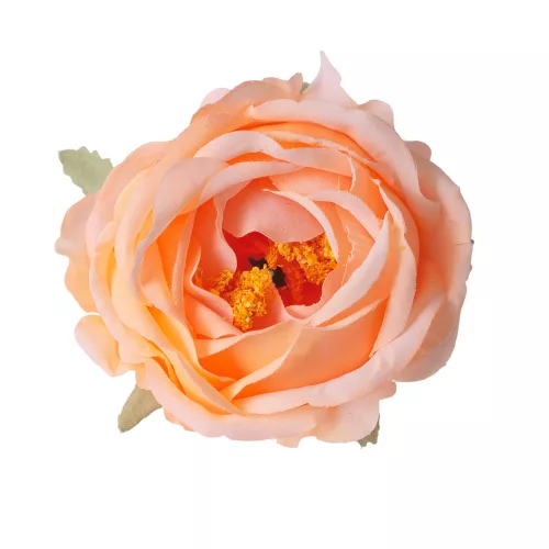 Hodvábna hlava pivónie, 10cm - Šampanská