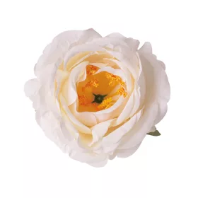 Hodvábna hlava pivónie, 10cm - Krémová