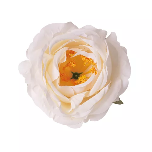 Hodvábna hlava pivónie, 10cm - Krémová