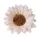 Hodvábna hlava slnečnice, 10cm - Biela