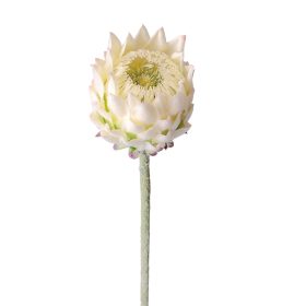 Hodvábna stonka protey, 60.5cm - Ecru