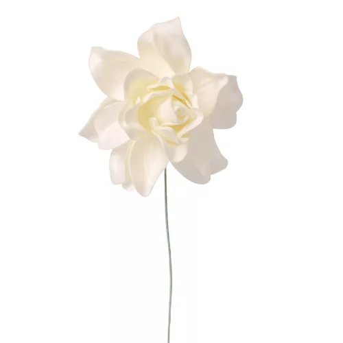 Hodvábna stonka gardénie, 24cm - Ecru