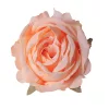 Hodvábna hlava ruže, 9cm - Šampanská