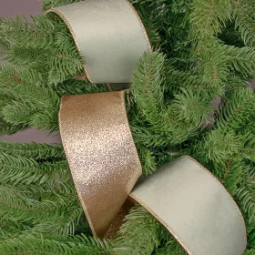   Vintage zelená zamatová stuha s lesklou zadnou stranou a drôtovým lemom 63mm x 5m  