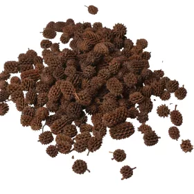 Casurina 150g/bal - Prírodná