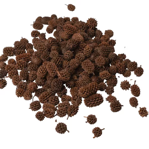 Casurina 150g/bal - Prírodná