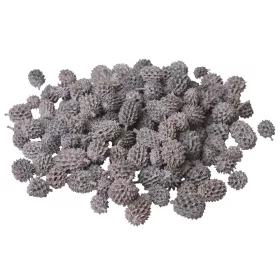 Casurina 150g/bal - Popolavosivá