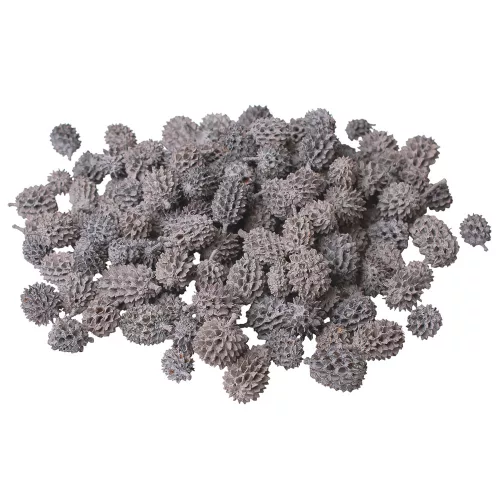 Casurina 150g/bal - Popolavosivá