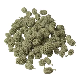 Casurina 150g/bal - Šalviová zelená