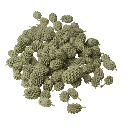 Casurina 150g/bal - Šalviová zelená