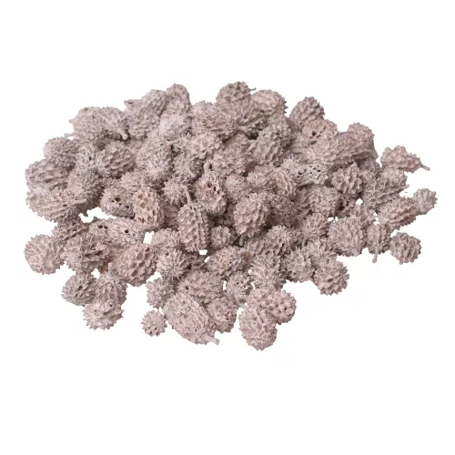 Casurina 150g/bal - Biely čaj