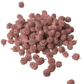 Casurina 150g/bal - Pastelová ružová