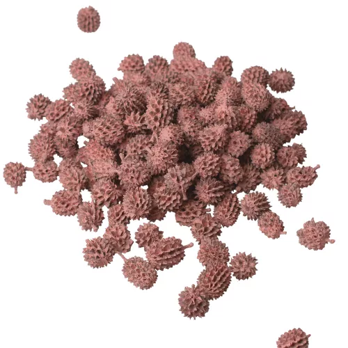 Casurina 150g/bal - Pastelová ružová