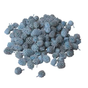 Casurina 150g/bal - Studená modrá