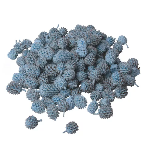 Casurina 150g/bal - Studená modrá