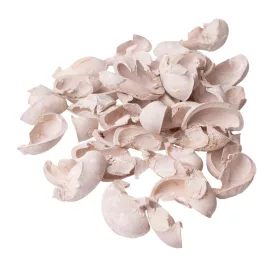 Ear Fruit 150g/bal - Bielená