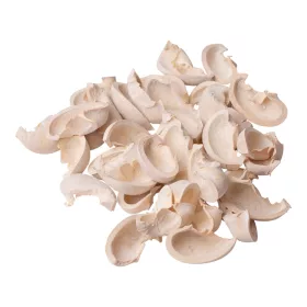 Ear Fruit 150g/bal - Biely čaj