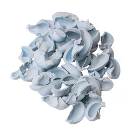 Ear Fruit 150g/bal - Studená modrá