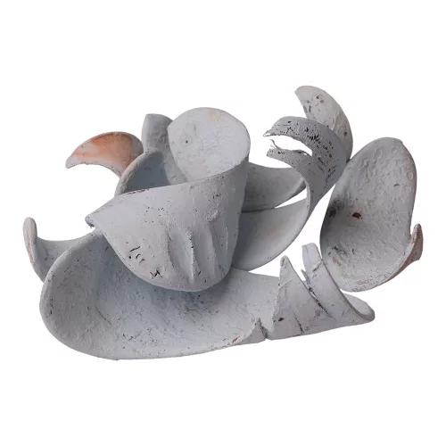 Slonie ucho 150g/bal - Oceánska modrá